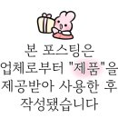 딥앤더치
