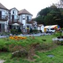 숲속의 별들 이미지