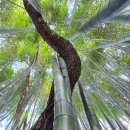 상생과 공존 이미지