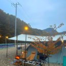 터미널할인마트 | 캠핑용슬리퍼 ABC마트 크록스세일 31% 할인구매 후기 지비츠도 이벤트중