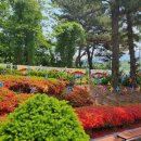 선장초등학교병설유치원 이미지