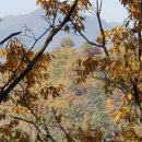 북부동 등산로 이미지