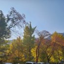 (주)호텔금오산 이미지