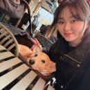 반려동물 수제간식 태식당 | 뚝섬역 맛집 제이티살룬 성수 반려견 동반 가능한 서울숲 근처 수제버거 맛집