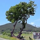 사회복지법인내원 마하재활병원 이미지