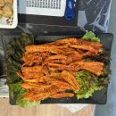 강아지영토 이미지