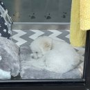 푸리미엄 이미지