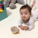 육아일기 :: 생후 9개월 D+270~279, 8개월 원더윅스 종료! 아이주도 이유식의 시작:)