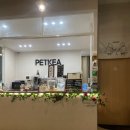 펫케아 | [양주 카페] 양주 실내 애견카페 추천 "펫케아"