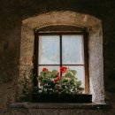 용문 행정사 이미지