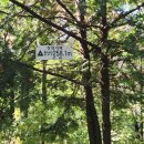 장계관광지 이미지