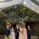 w4. 나 이제 유부초밥이다💍(키나하우스,몰리부스,고마리,마트리모니오,모드니드레스 후기를 곁들인😇)