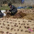 상희농장 이미지