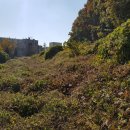 군포시보건소 버스정류소 이미지