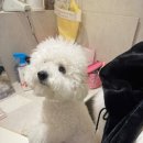 인천어바웃유외과의원 | 25년 2월 _ 진이의 일상기록📝