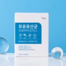 셀핏
