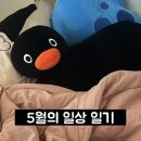 정관장 홍삼 송정점 | 24년 5월의 일상 일기