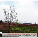 상주문경교차로