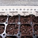 영천 아시아 마트 이미지