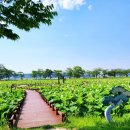 겨리우리피쉬 | 강릉 1박2일 여행기 2-1