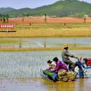 원화농장 이미지