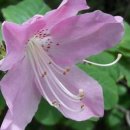 초례산 숲속 힐링로드 이미지