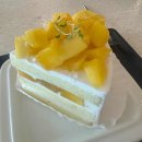 정자교회 화장실 이미지