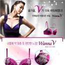 뉴 비너스 이미지