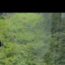 유하목장 이미지