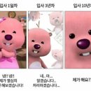 스테이하시니