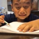 제주리월드 | 🧚‍♀️🧚🧚🏻‍♂️