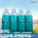 물애담 이미지