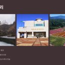 한탄강주상절리길 | 한탄강 주상절리길: 5월에 꼭 가봐야 할 강원도 트레킹 명소
