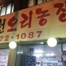 초원오리 이미지