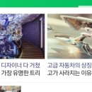 (주)메인트리 이미지