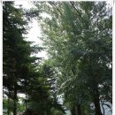 삼상초등학교 | [20140614]양주누리길 1코스ㆍ 2코스ㆍ 3코스 이어걷기(교현리마을회관에서 장흥면사무소까지) - 2부