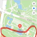 서울숲길 | 서울숲 벚꽃 실시간 다녀온 후기 서울숲 벚꽃길 위치 다리 포토존