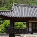 SJ 행정사사무소 이미지