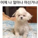 영당구장 | 열정은 있는데요