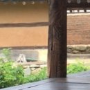 한옥체험민박 이미지