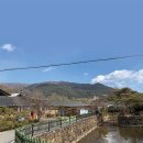 이을 한옥 스테이 | 기와 아래 봄이 피어 오르는 곳...하동과 구례 여행