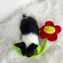 사랑하개 이미지