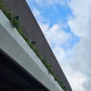 와~스타디움 내(서측 입구) | 홍콩 카이탁 스타디움 시야 배치도 및 후기 (1) :: NCT DREAM 드림쇼4 엔시티드림 콘서트