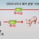 도나도나 이미지