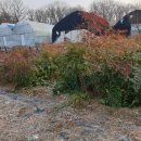 정훈농장2 이미지