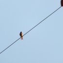 산따라물따라 이미지