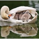 재홍농장 이미지