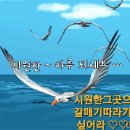 💻2021년 8월 5일 목요일 간추린 & 헤드라인 뉴스💻 이미지