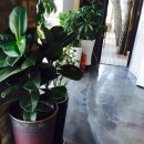 Cafe 구산블루스