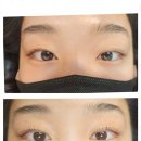 벨라라
